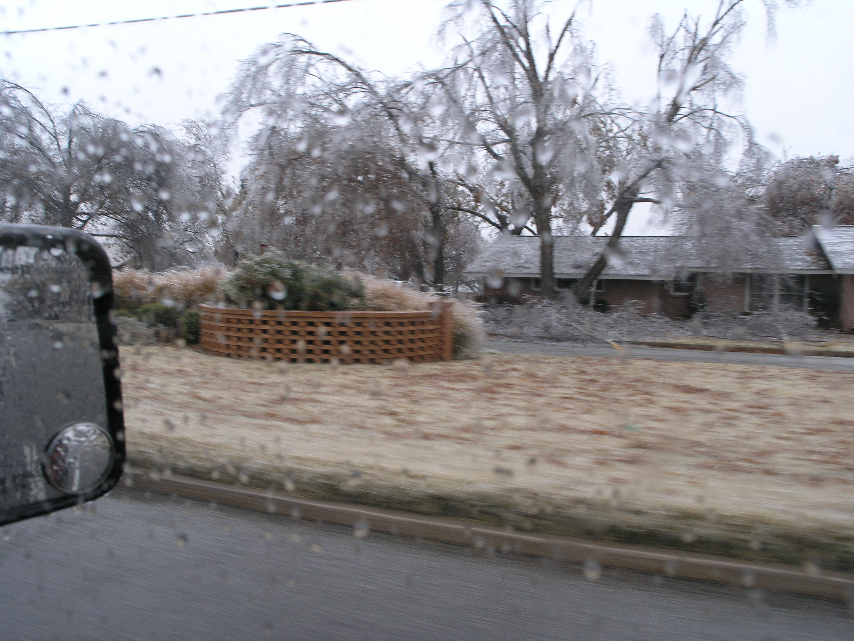 Pictures of the Ice Storm 2007 i